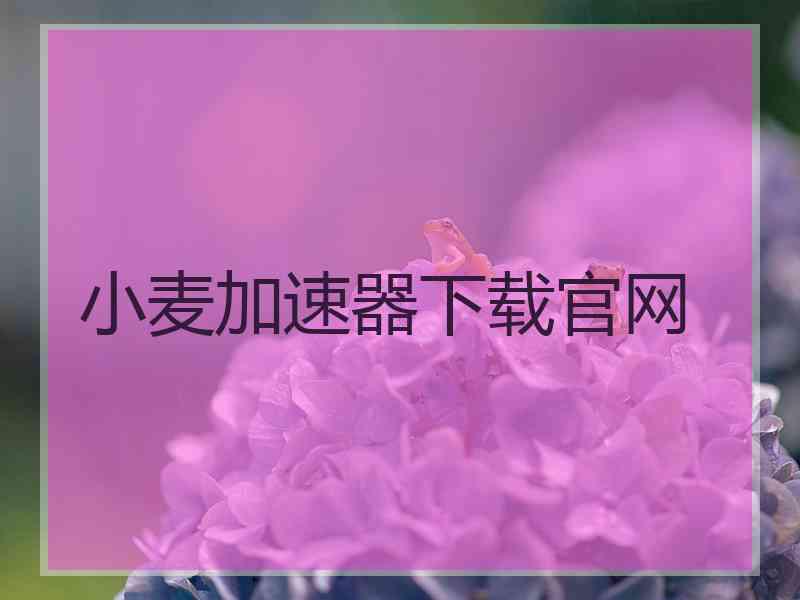 小麦加速器下载官网