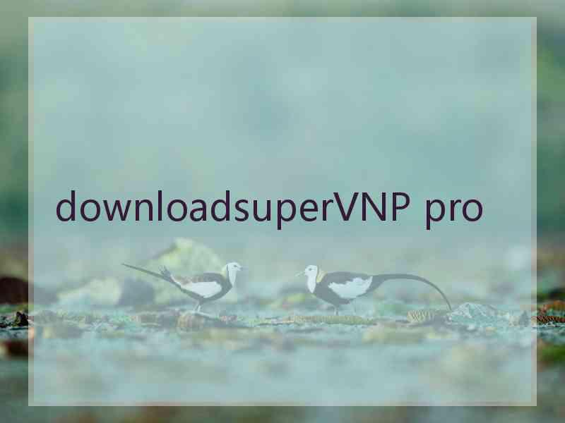 downloadsuperVNP pro