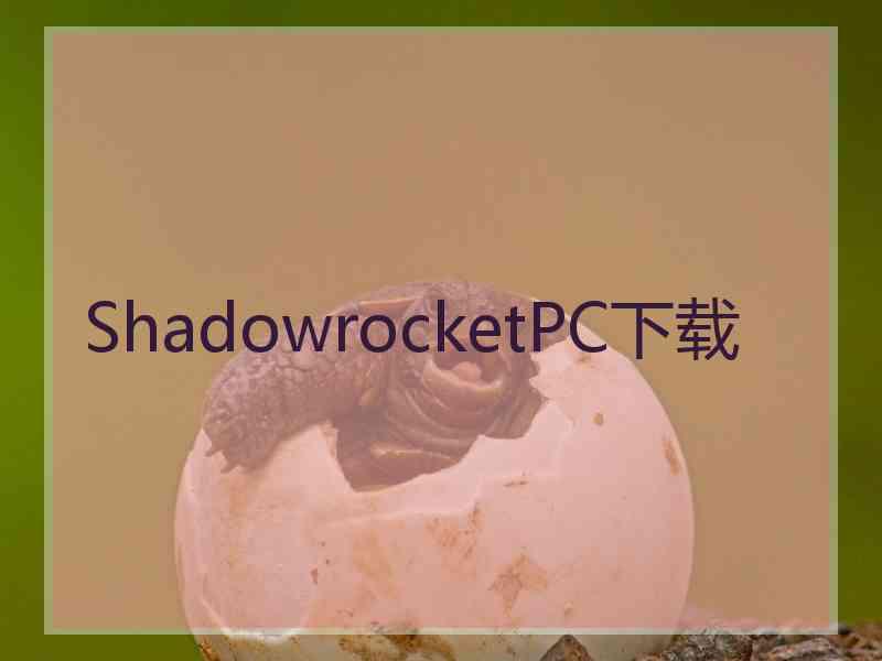 ShadowrocketPC下载