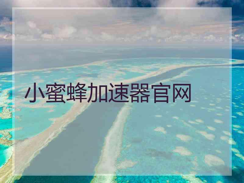 小蜜蜂加速器官网