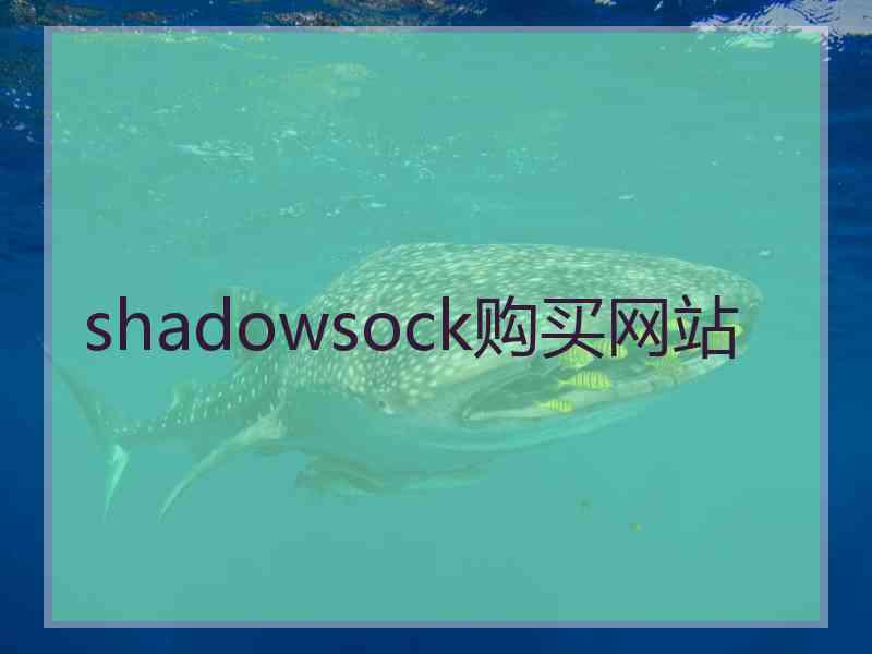 shadowsock购买网站