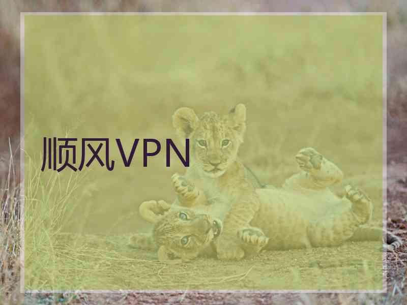 顺风VPN