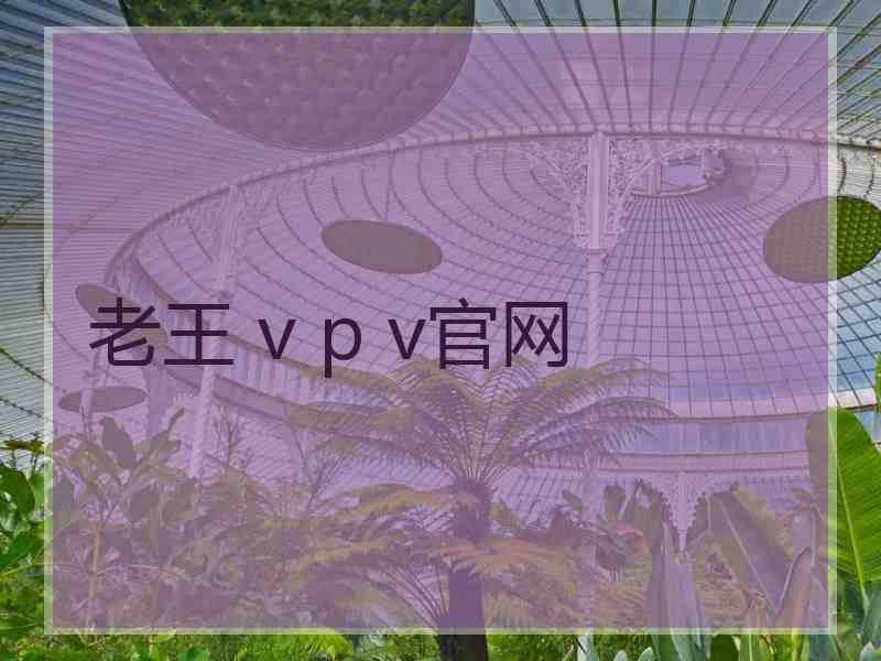 老王 v p v官网