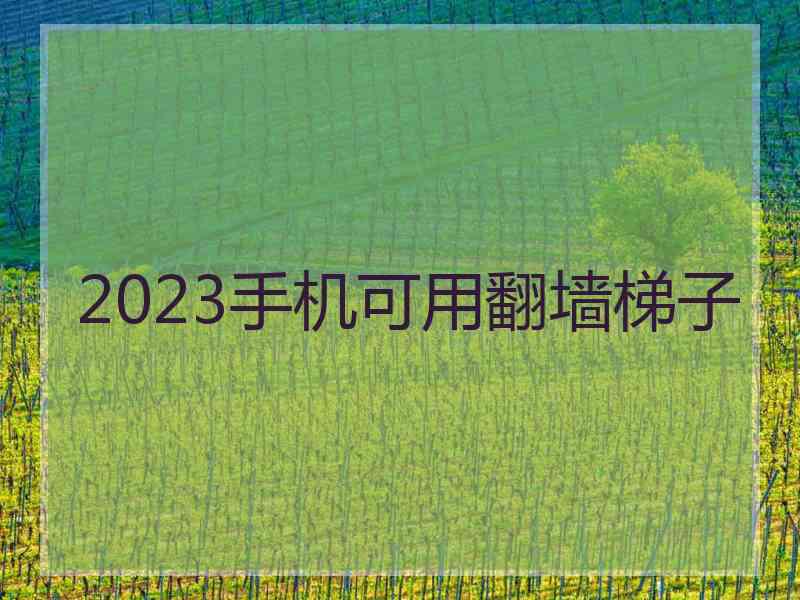 2023手机可用翻墙梯子