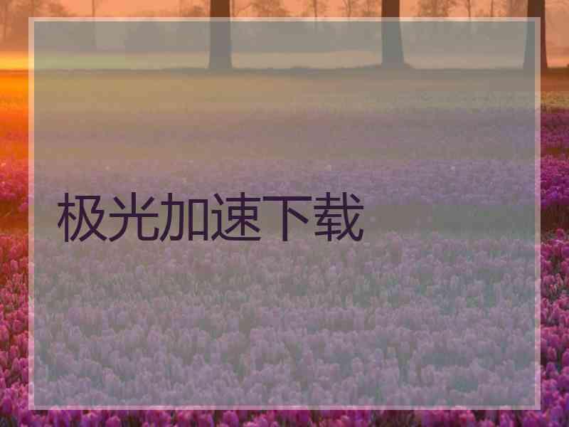 极光加速下载