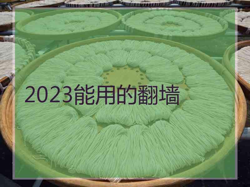 2023能用的翻墙