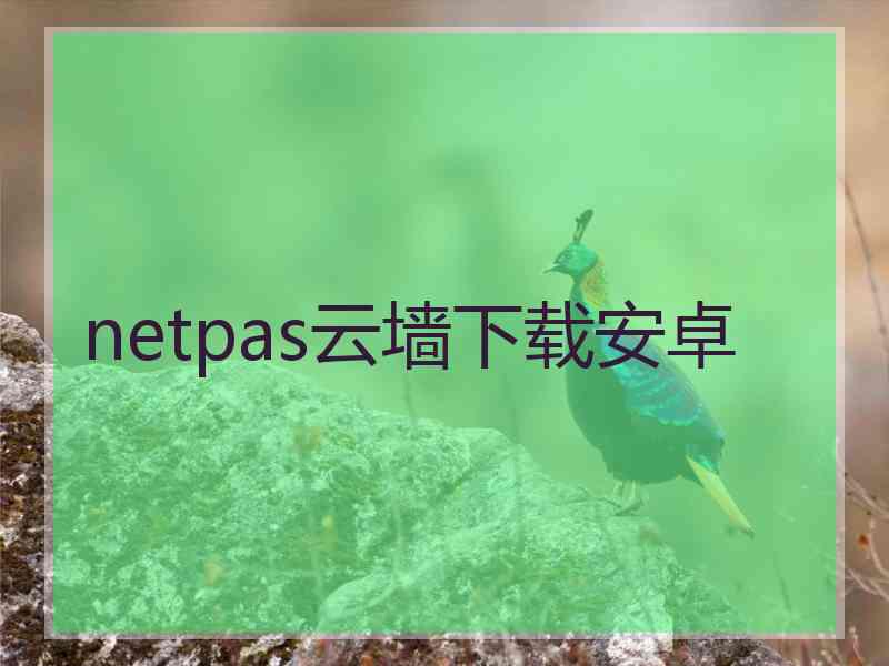 netpas云墙下载安卓