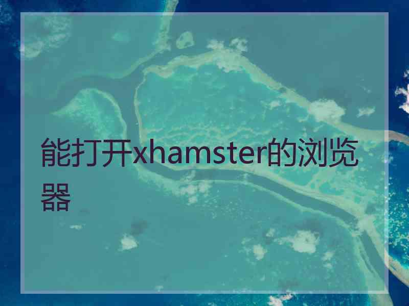 能打开xhamster的浏览器