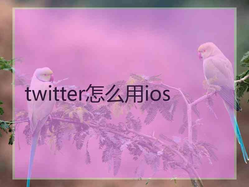 twitter怎么用ios