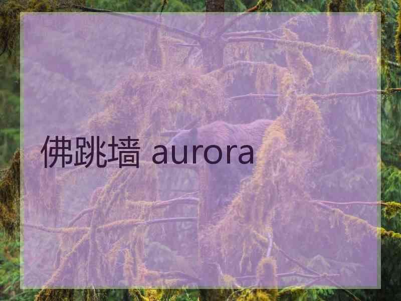 佛跳墙 aurora