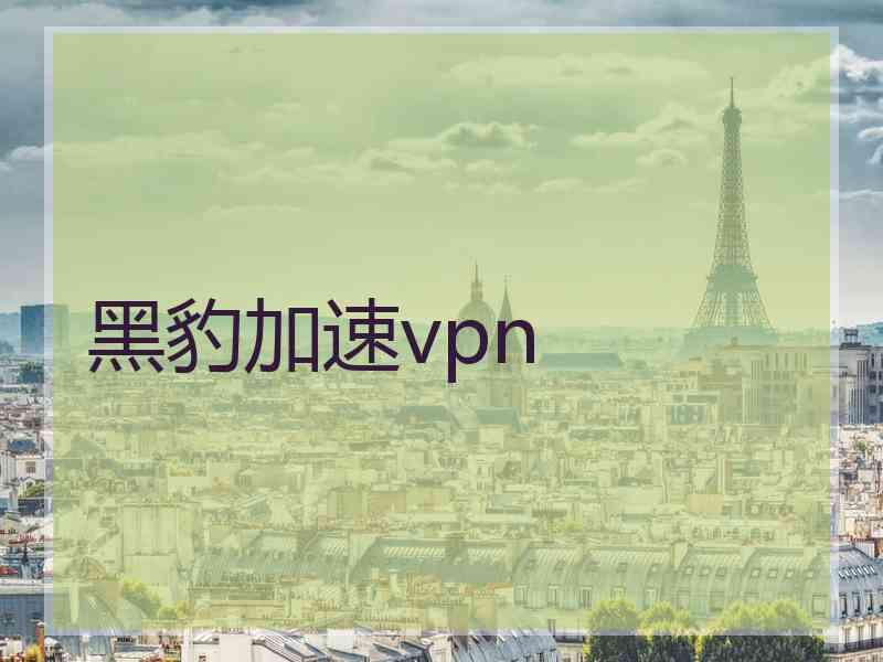 黑豹加速vpn