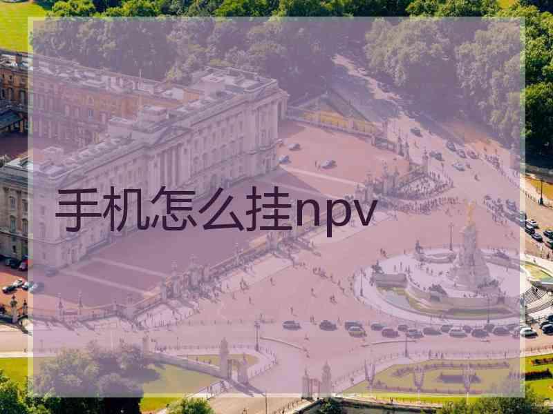 手机怎么挂npv