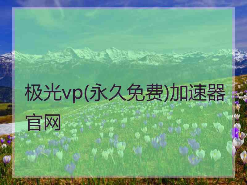 极光vp(永久免费)加速器官网