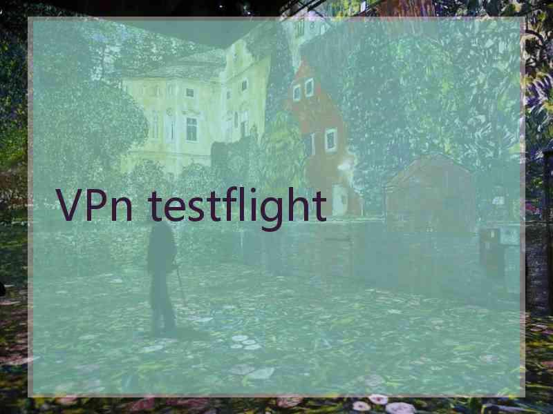 VPn testflight