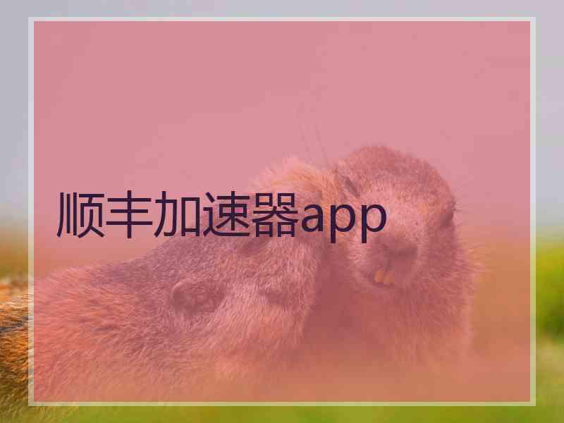 顺丰加速器app