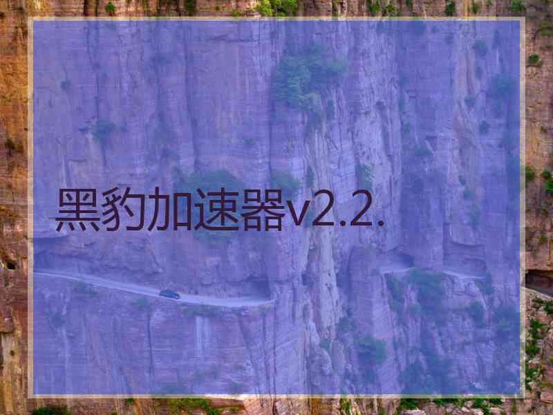 黑豹加速器v2.2.