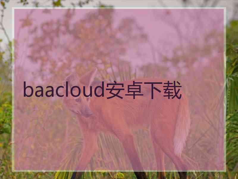 baacloud安卓下载