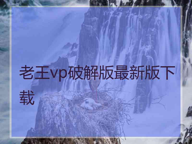 老王vp破解版最新版下载