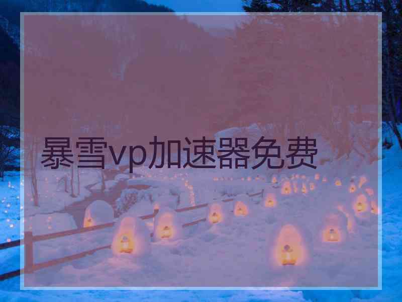 暴雪vp加速器免费