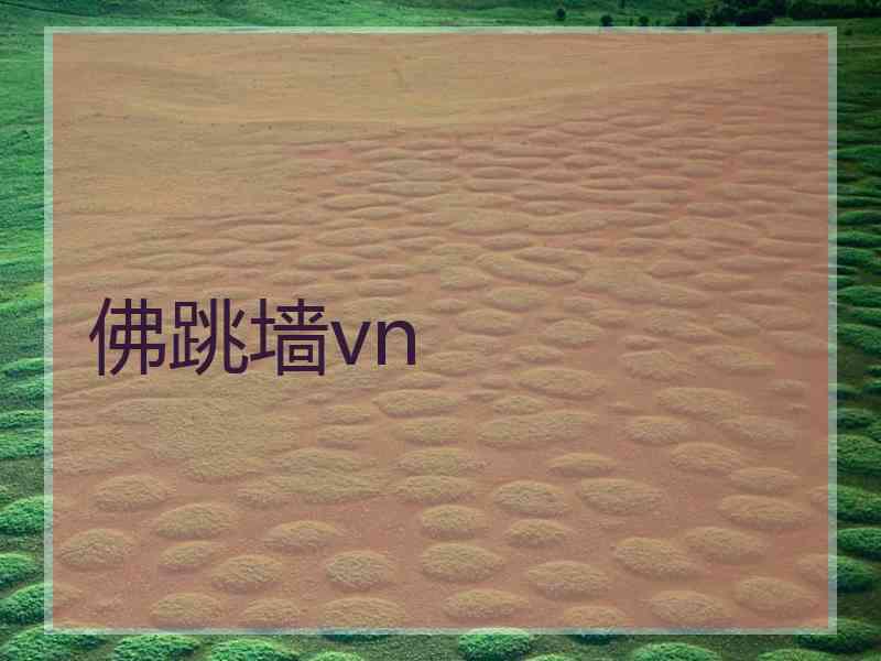 佛跳墙vn