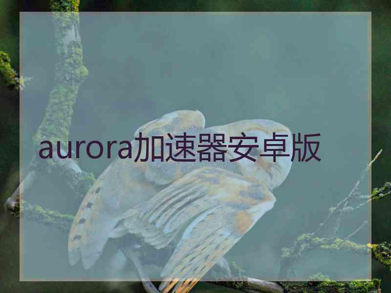 aurora加速器安卓版