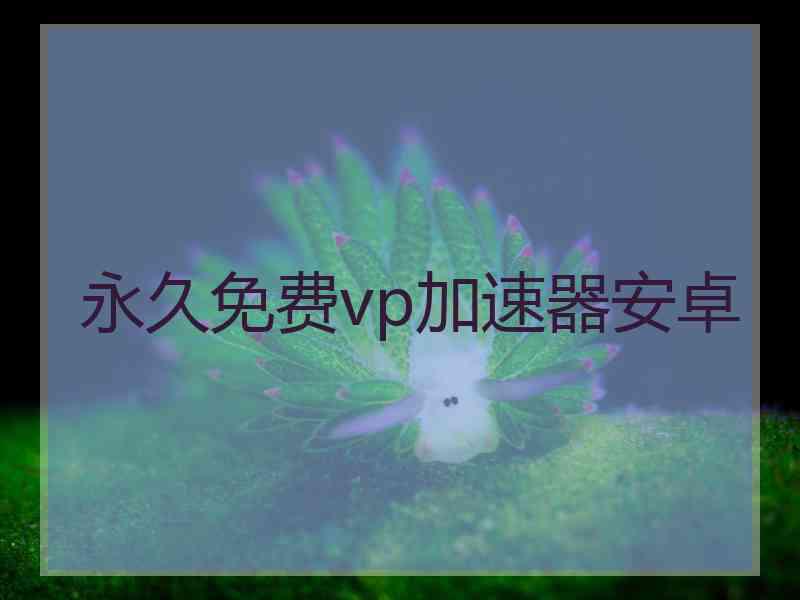 永久免费vp加速器安卓