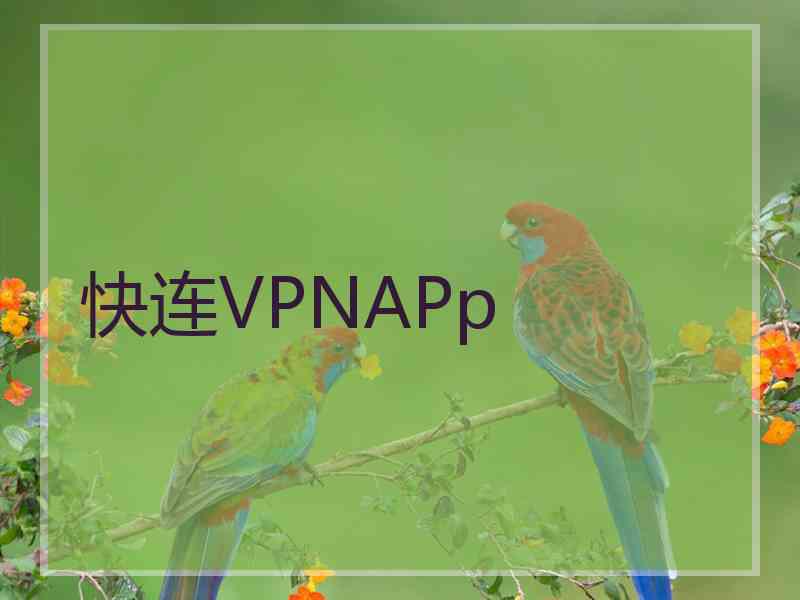 快连VPNAPp