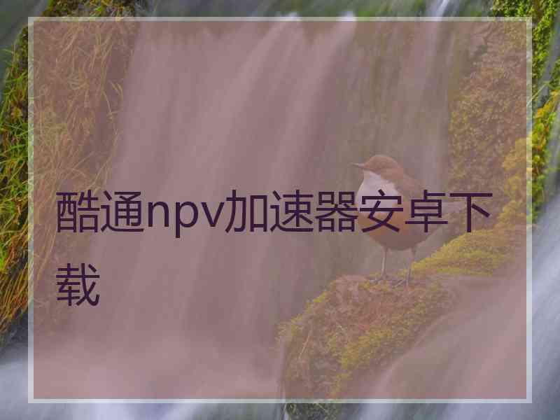 酷通npv加速器安卓下载