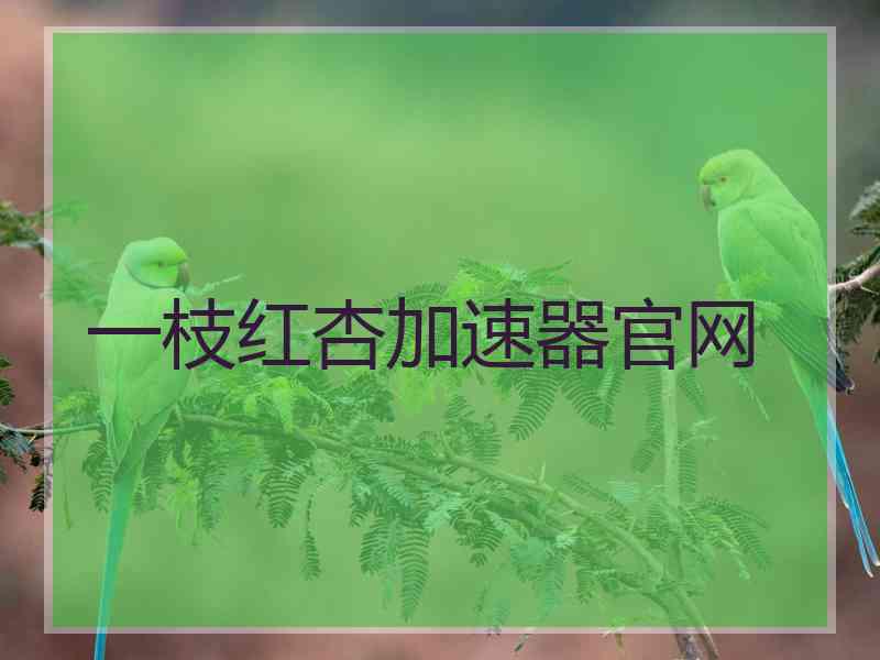 一枝红杏加速器官网