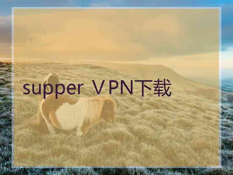 supper ⅤPN下载