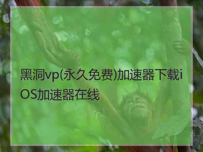 黑洞vp(永久免费)加速器下载iOS加速器在线