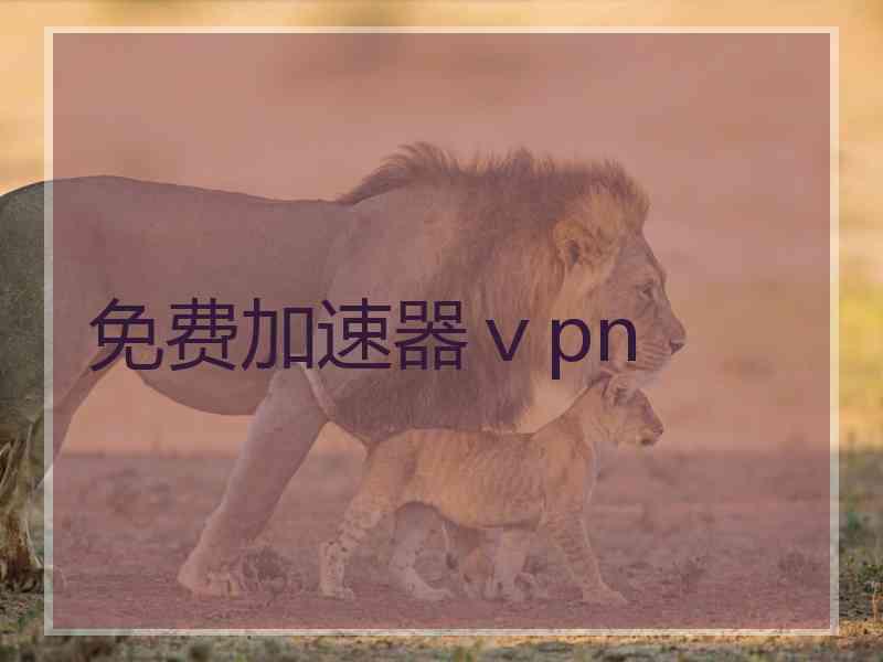 免费加速器ⅴpn