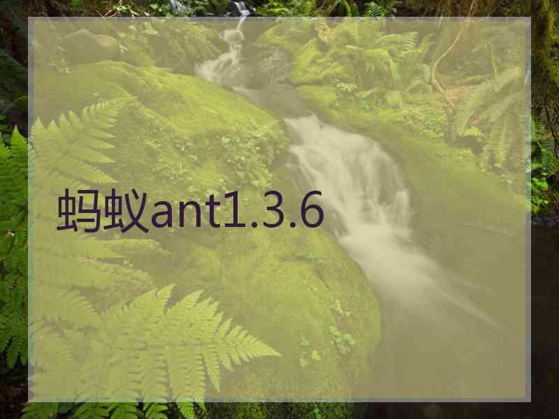 蚂蚁ant1.3.6