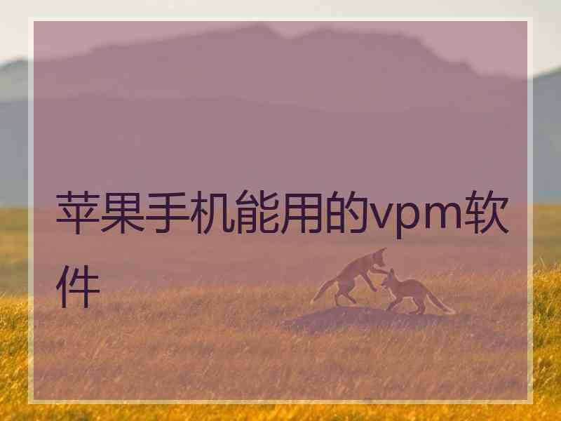 苹果手机能用的vpm软件