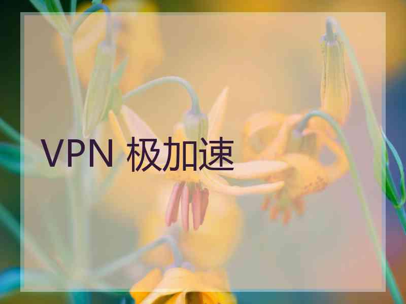 VPN 极加速