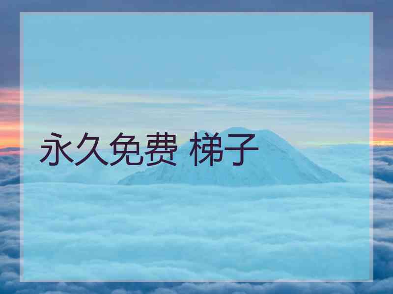 永久免费 梯子