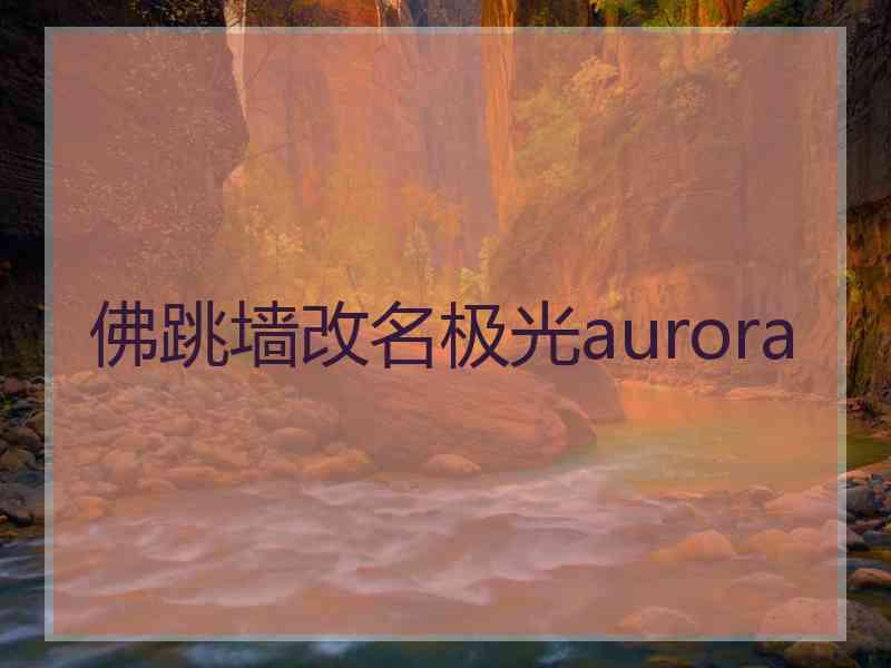 佛跳墙改名极光aurora