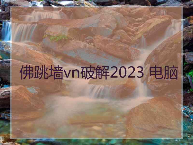 佛跳墙vn破解2023 电脑