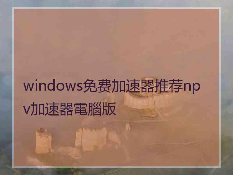 windows免费加速器推荐npv加速器電腦版