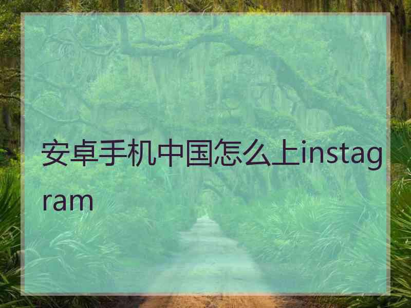 安卓手机中国怎么上instagram