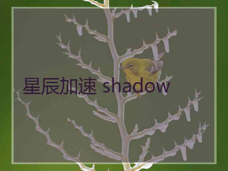 星辰加速 shadow