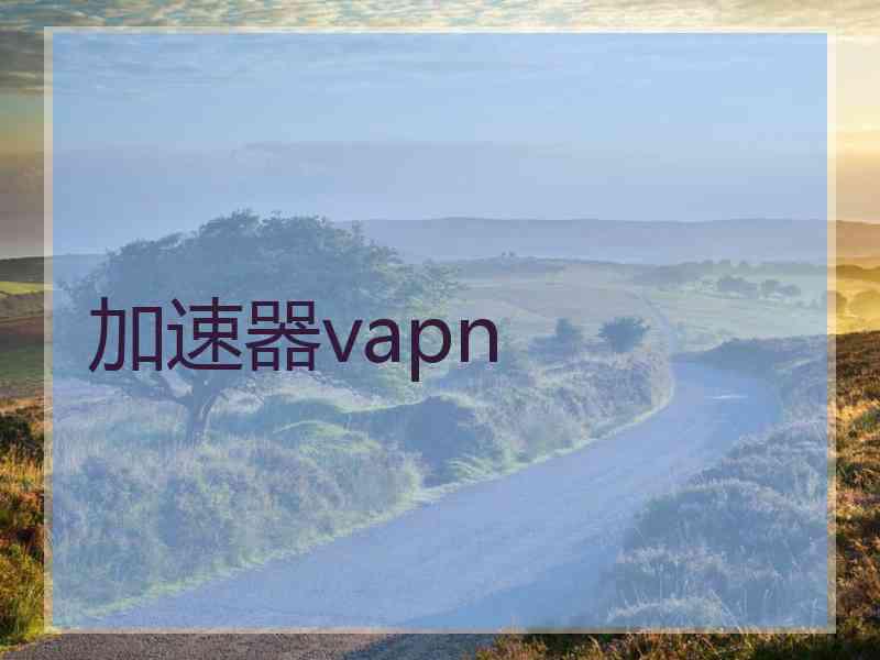 加速器vapn