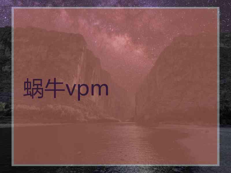 蜗牛vpm