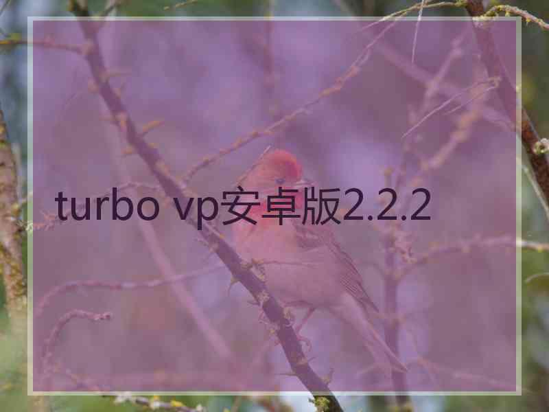 turbo vp安卓版2.2.2