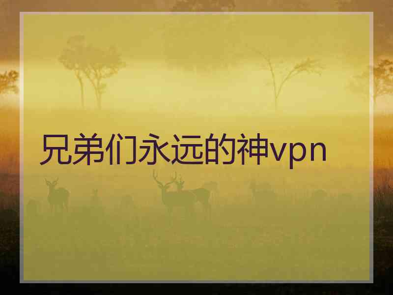 兄弟们永远的神vpn