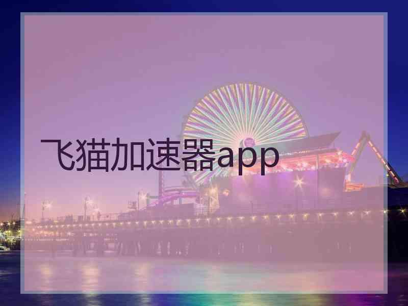 飞猫加速器app