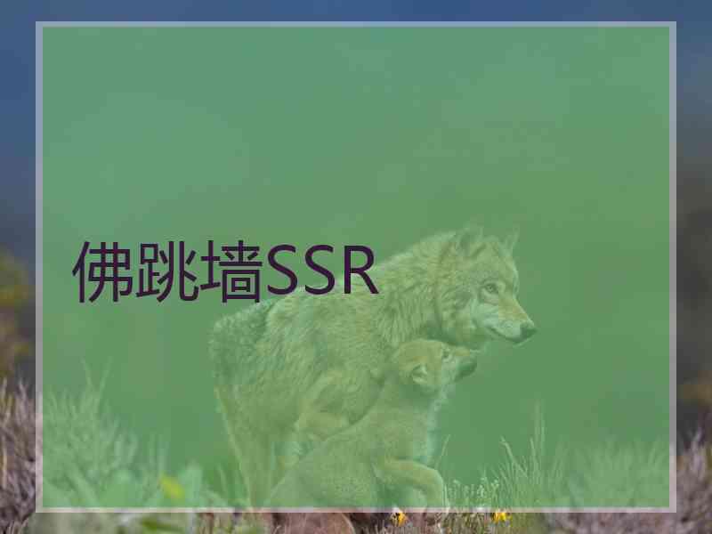 佛跳墙SSR