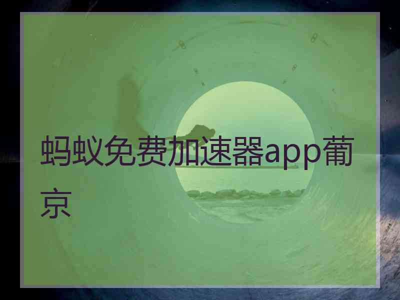 蚂蚁免费加速器app葡京