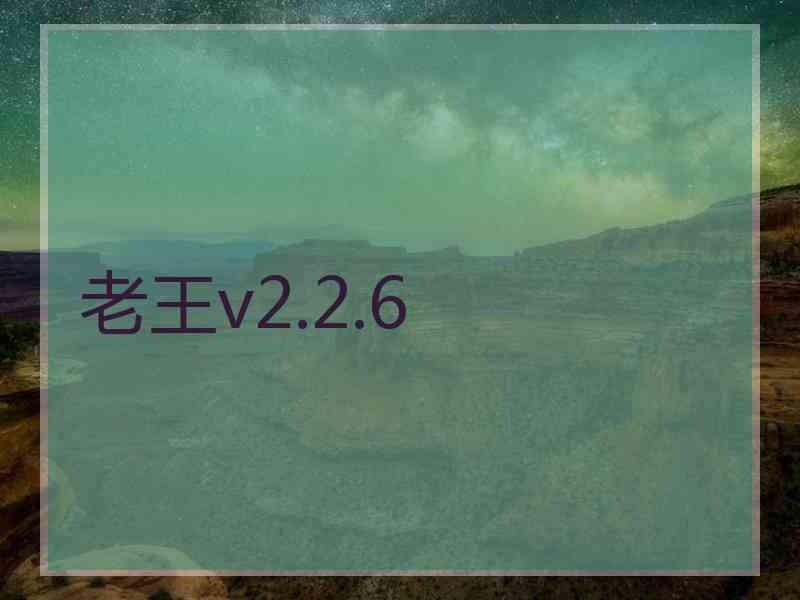 老王v2.2.6