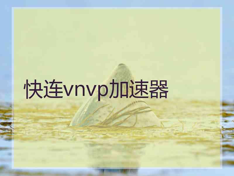 快连vnvp加速器